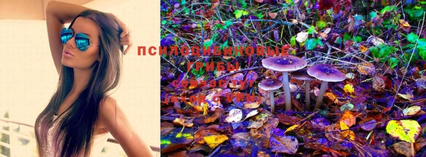 MESCALINE Заводоуковск