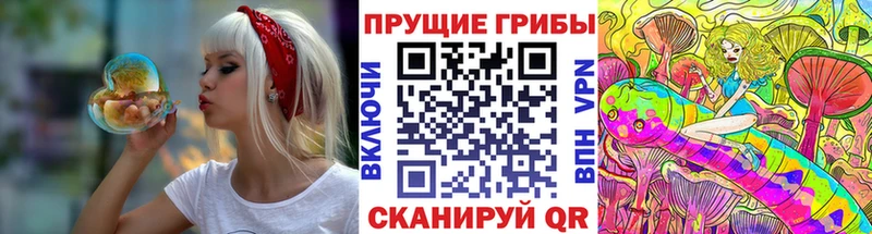 Галлюциногенные грибы MAGIC MUSHROOMS  hydra рабочий сайт  Касимов  где продают  